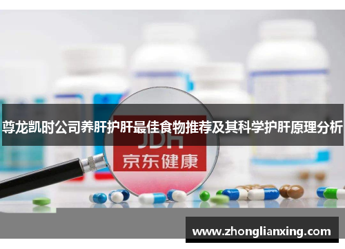 尊龙凯时公司养肝护肝最佳食物推荐及其科学护肝原理分析