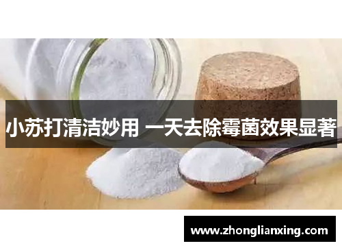 小苏打清洁妙用 一天去除霉菌效果显著