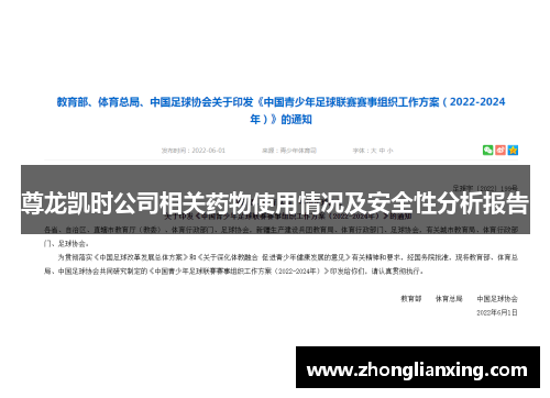 尊龙凯时公司相关药物使用情况及安全性分析报告