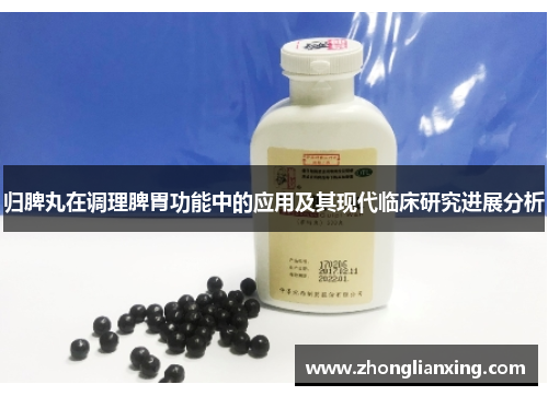 归脾丸在调理脾胃功能中的应用及其现代临床研究进展分析
